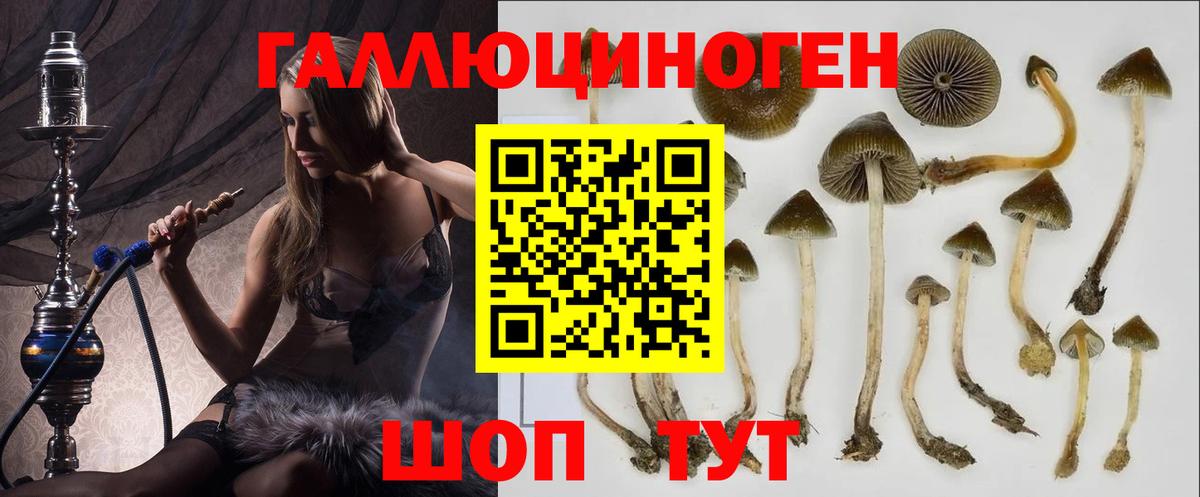 Прохладный  Галлюциногенные грибы GOLDEN TEACHER  Вход с VPN 