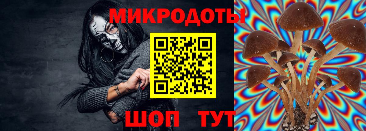 Галлюциногенные грибы ЛСД Прохладный
